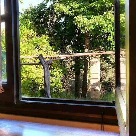 Verde *